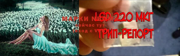 экстази Осташков