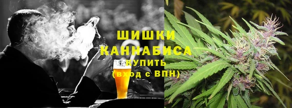твердый Осинники
