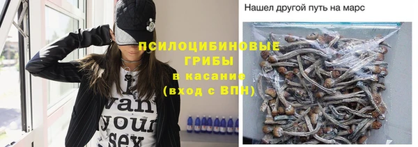 кристаллы Няндома